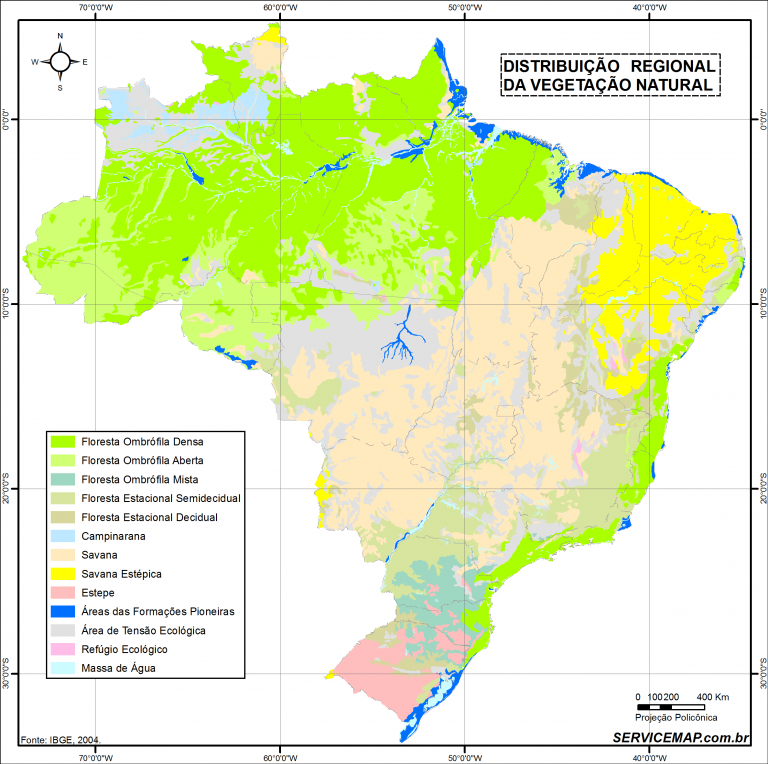 mapa_vegetacao_brasil_ibge_service_map-768x764.png
